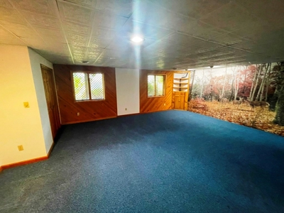 Home For Sale In Crockett's Cove Wytheville VA - image 28