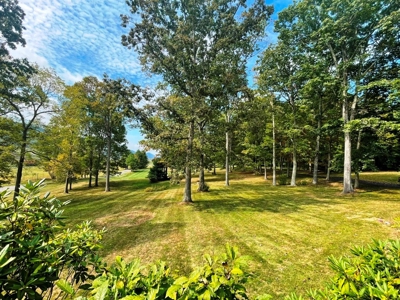 Home For Sale In Crockett's Cove Wytheville VA - image 47