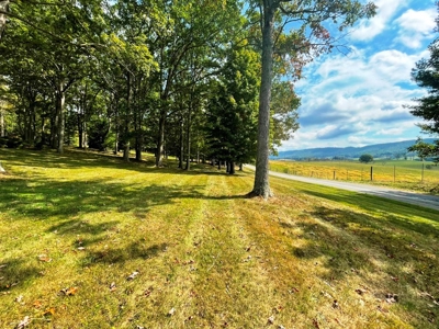 Home For Sale In Crockett's Cove Wytheville VA - image 46