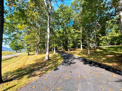 Home For Sale In Crockett's Cove Wytheville VA - image 44