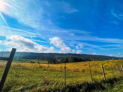 Home For Sale In Crockett's Cove Wytheville VA - image 49
