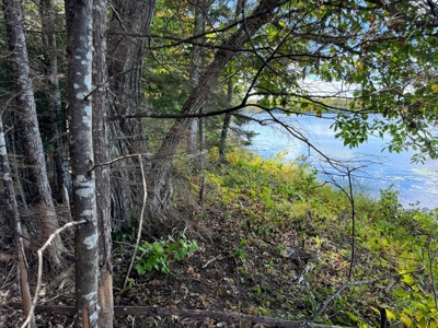 Maine Penobscot Riverfront - image 11