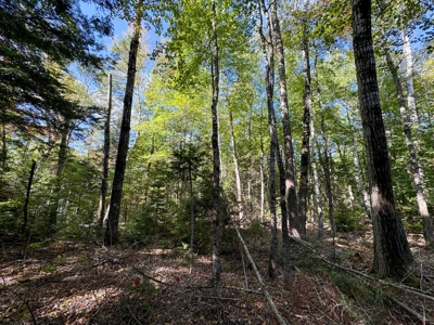 Maine Penobscot Riverfront - image 23