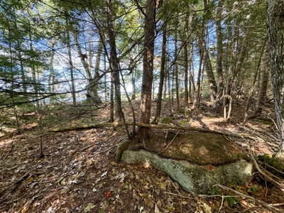 Maine Penobscot Riverfront - image 6