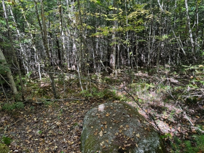 Maine Penobscot Riverfront - image 18