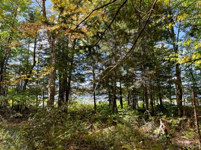 Maine Penobscot Riverfront - image 7