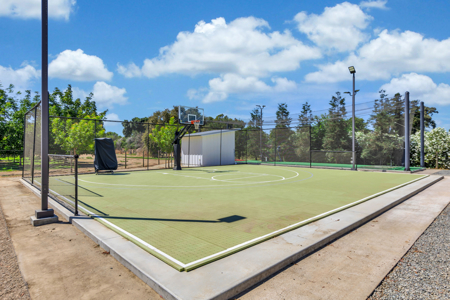 Private Davis, California 10 Acre Estate for Sale - image 39