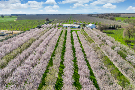Private Davis, California 10 Acre Estate for Sale - image 50
