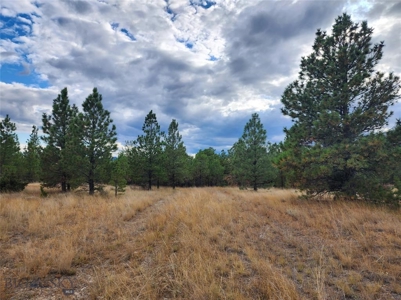 Vacant Land in MT Bordering BLM - image 9