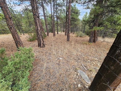 Vacant Land in MT Bordering BLM - image 10