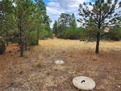 Vacant Land in MT Bordering BLM - image 2