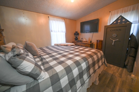 Lake Home for Sale near Pomme De Terre - image 14