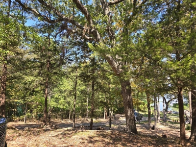 Lake View Lot for Sale in Fort Towson, Oklahoma - image 10