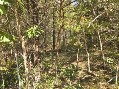 Lake View Lot for Sale in Fort Towson, Oklahoma - image 9