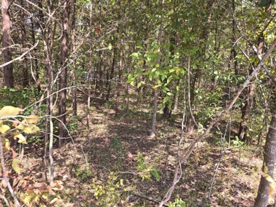 Lake View Lot for Sale in Fort Towson, Oklahoma - image 8