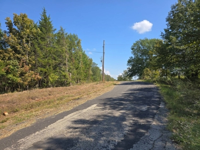 Lake View Lot for Sale in Fort Towson, Oklahoma - image 6