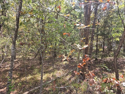 Lake View Lot for Sale in Fort Towson, Oklahoma - image 4