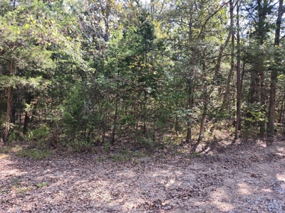 Lake View Lot for Sale in Fort Towson, Oklahoma - image 1