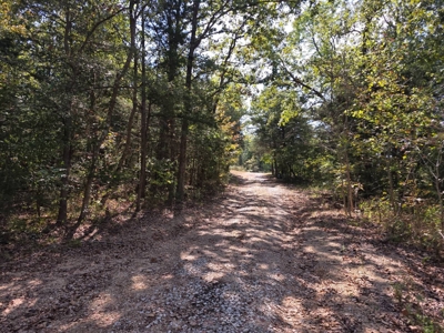 Lake View Lot for Sale in Fort Towson, Oklahoma - image 2