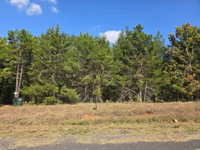 Lake View Lot for Sale in Fort Towson, Oklahoma - image 5