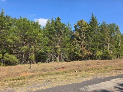 Lake View Lot for Sale in Fort Towson, Oklahoma - image 11