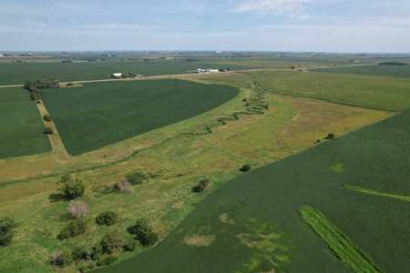 Webster County Iowa Farmland Auction - image 27