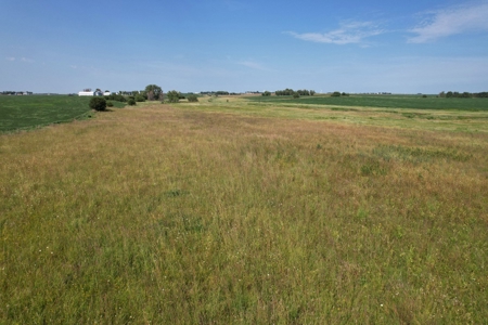 Webster County Iowa Farmland Auction - image 8