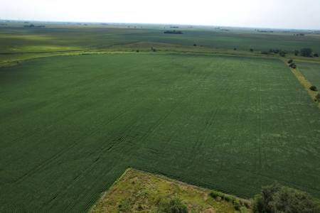 Webster County Iowa Farmland Auction - image 19