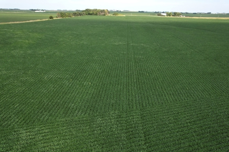 Webster County Iowa Farmland Auction - image 25