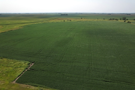 Webster County Iowa Farmland Auction - image 18