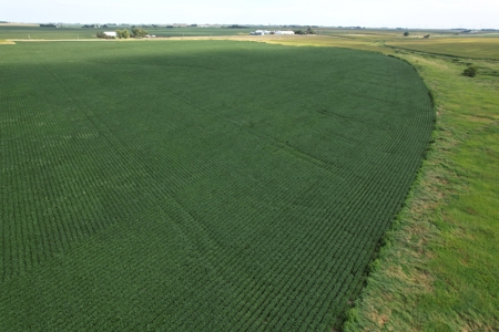 Webster County Iowa Farmland Auction - image 24