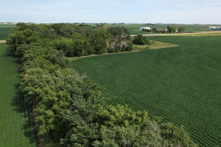 Webster County Iowa Farmland Auction - image 15