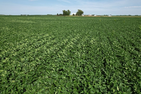 Webster County Iowa Farmland Auction - image 13