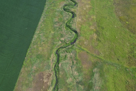 Webster County Iowa Farmland Auction - image 20
