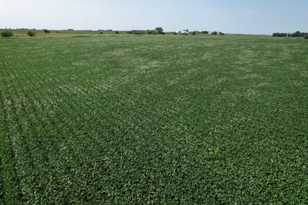 Webster County Iowa Farmland Auction - image 12