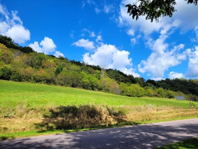 Building lot of land for sale in Driftless Region, WI - image 1