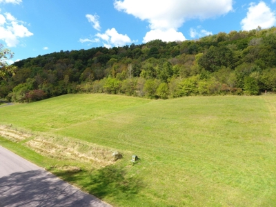 Building lot of land for sale in Driftless Region, WI - image 15