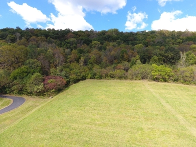 Building lot of land for sale in Driftless Region, WI - image 12