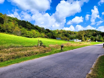 Building lot of land for sale in Driftless Region, WI - image 4