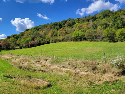 Building lot of land for sale in Driftless Region, WI - image 16