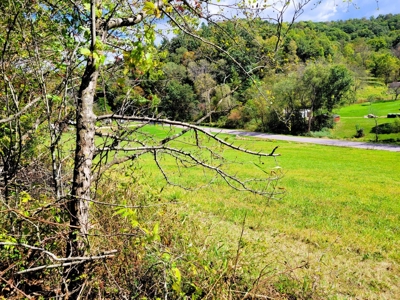 Building lot of land for sale in Driftless Region, WI - image 6