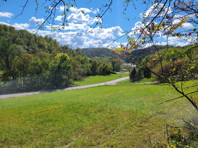 Building lot of land for sale in Driftless Region, WI - image 20