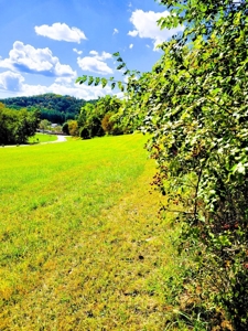 Building lot of land for sale in Driftless Region, WI - image 3