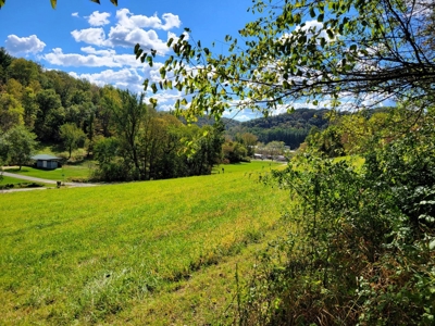 Building lot of land for sale in Driftless Region, WI - image 9