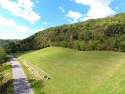 Building lot of land for sale in Driftless Region, WI - image 11