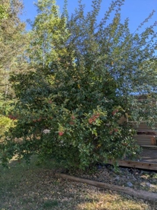Northern Michigan Home for Sale Atlanta Michigan - image 34