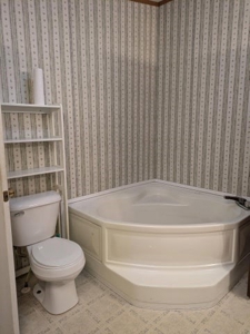 Northern Michigan Home for Sale Atlanta Michigan - image 27
