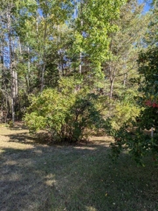 Northern Michigan Home for Sale Atlanta Michigan - image 35