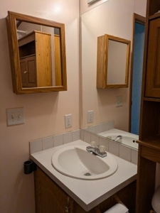Northern Michigan Home for Sale Atlanta Michigan - image 16