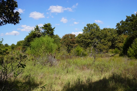 No Reserve Highway Home & Acreage Auction, Meeker, OK - image 12